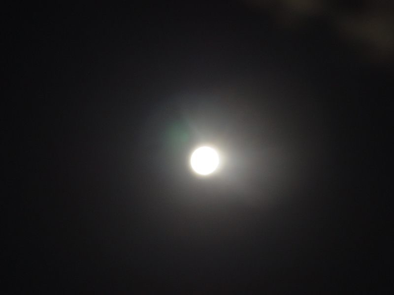 image0099