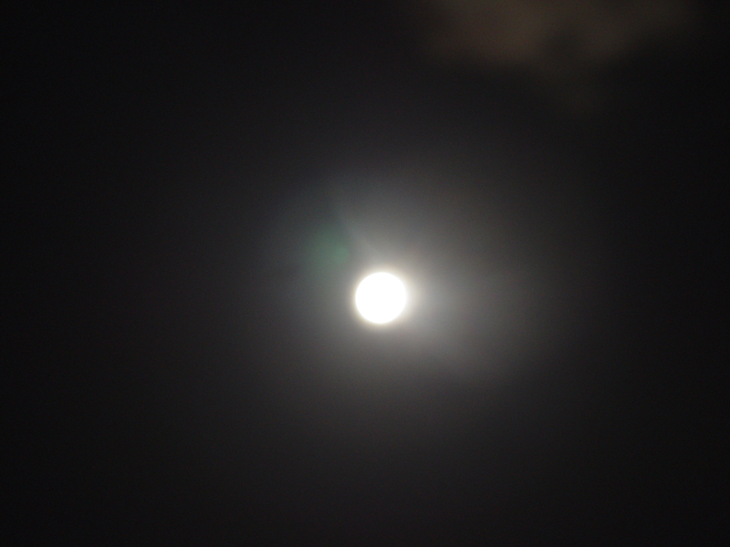 image0100