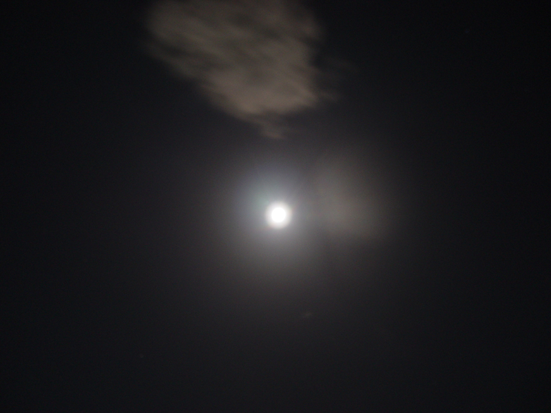 image0101