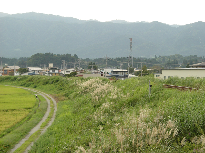 image0129