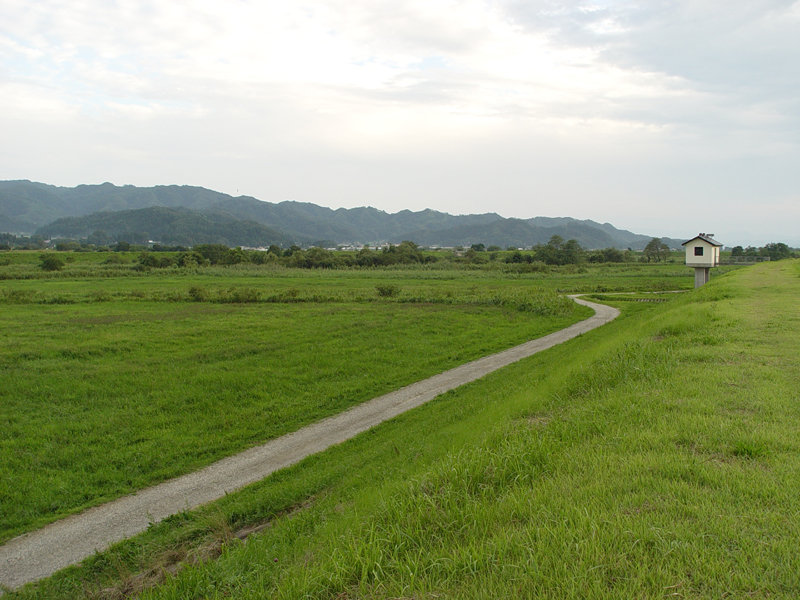 image0142