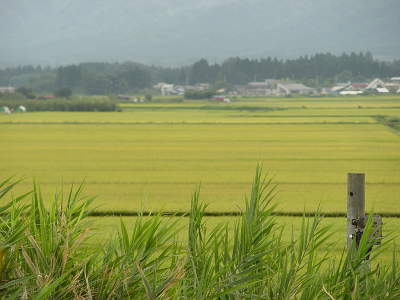 image0144