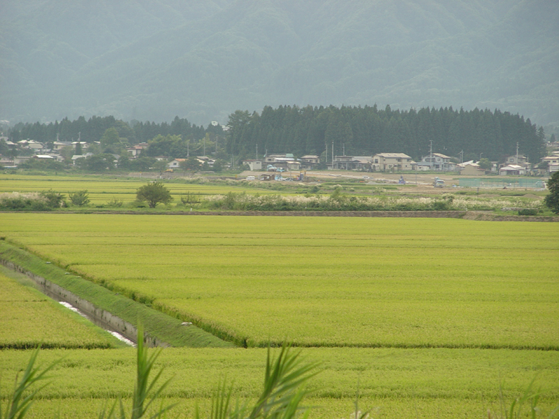 image0145