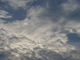 image0009