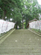 image0017