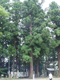 image0031