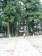image0032