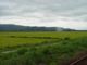 image0038