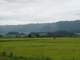 image0044