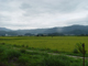 image0045