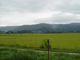 image0046