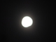 image0076
