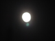 image0077