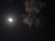 image0079