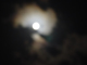 image0083