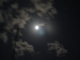 image0087