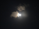 image0089