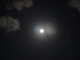 image0091