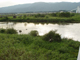 image0122