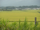 image0144